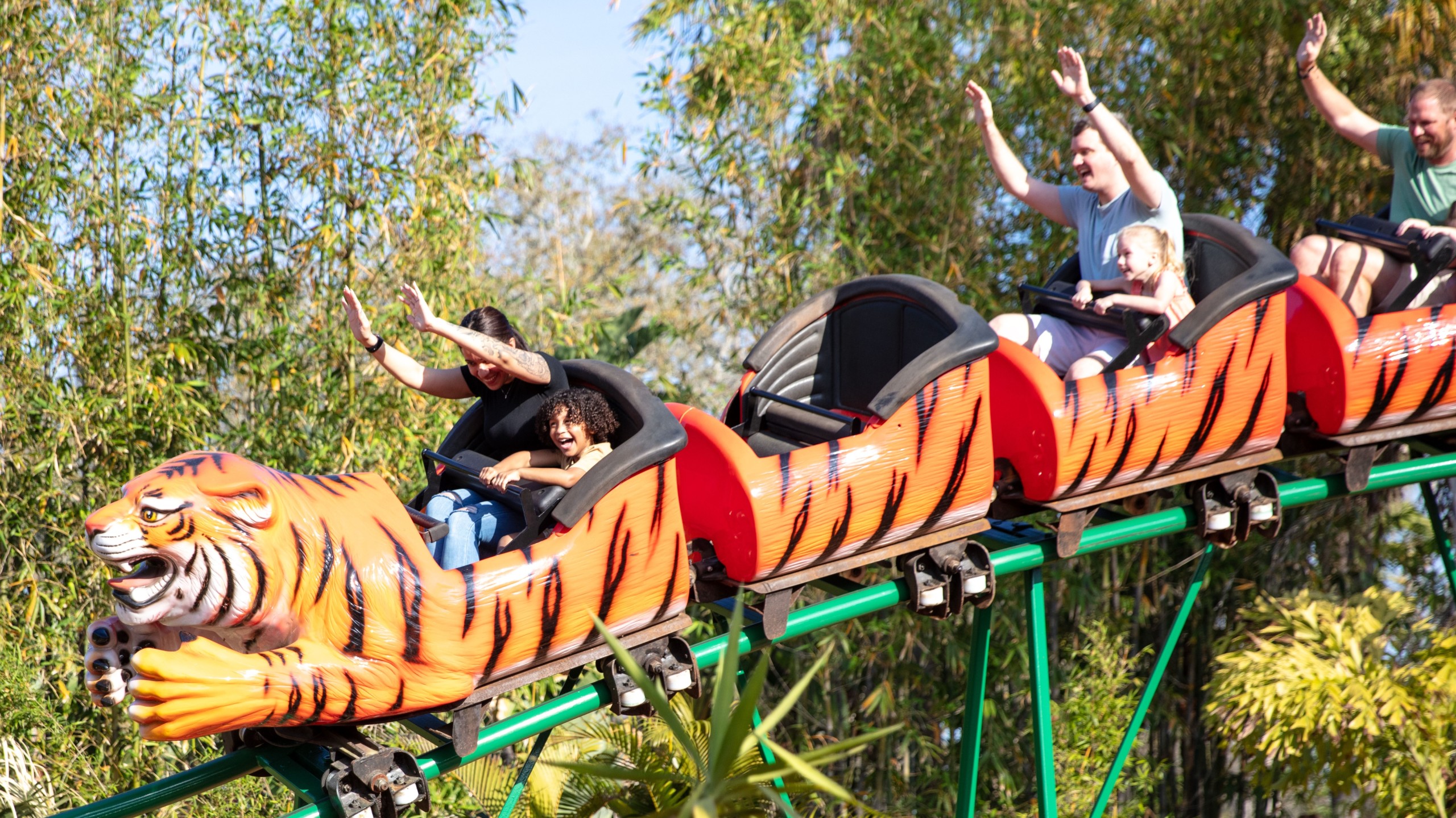 在坦帕動物園體驗塔斯曼尼亞虎過山車的刺激。