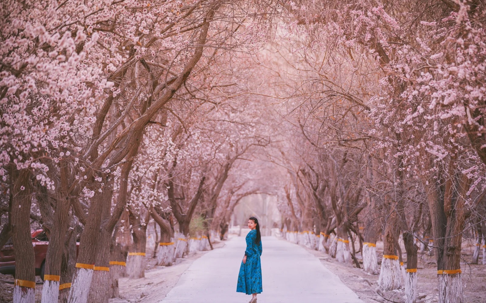 7-Day Tour of Apricot Blossoms on the Pamir Plateau in Kashgar,