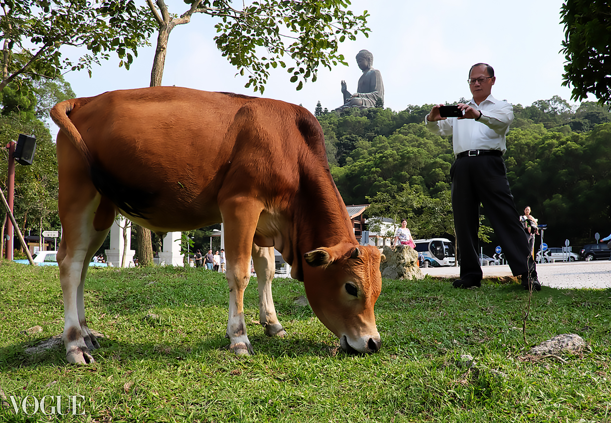 Find Your Direction (Practical Photography Experience) | Wan Chai