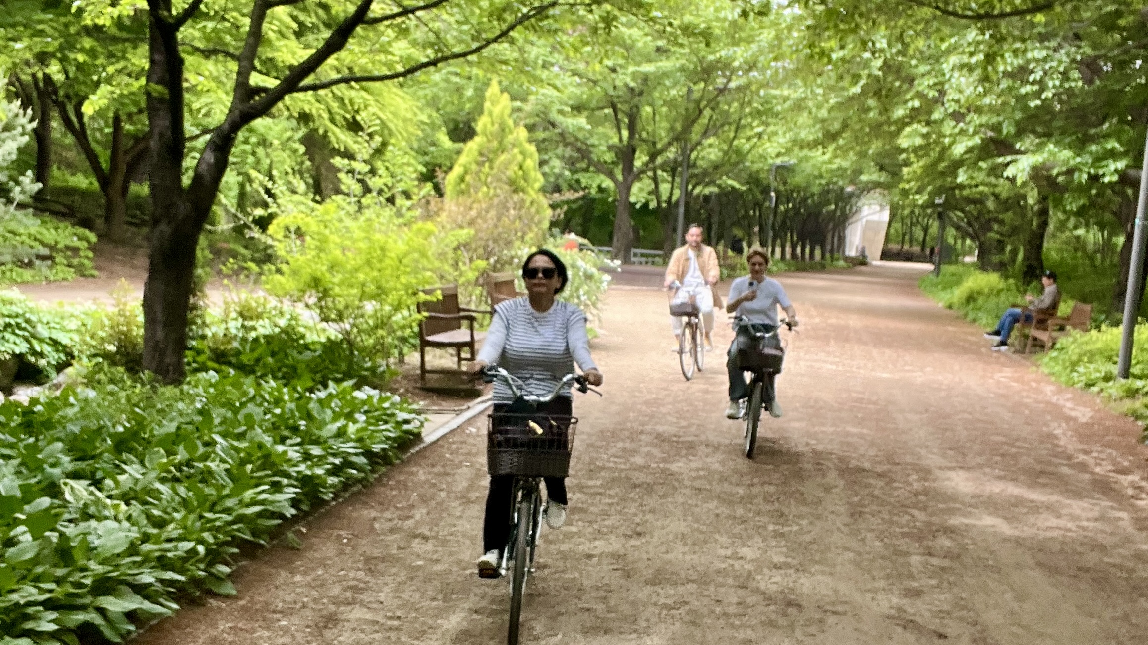 首尔汉江骑行之旅