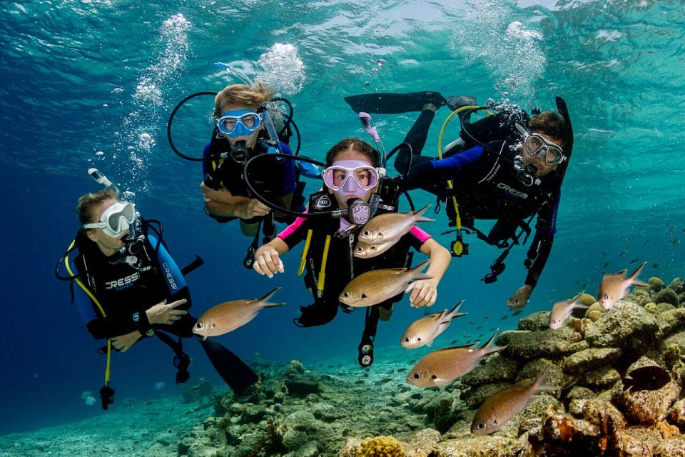 Hurghada: Orange Island Diving & Snorkeling Trip with Lunch