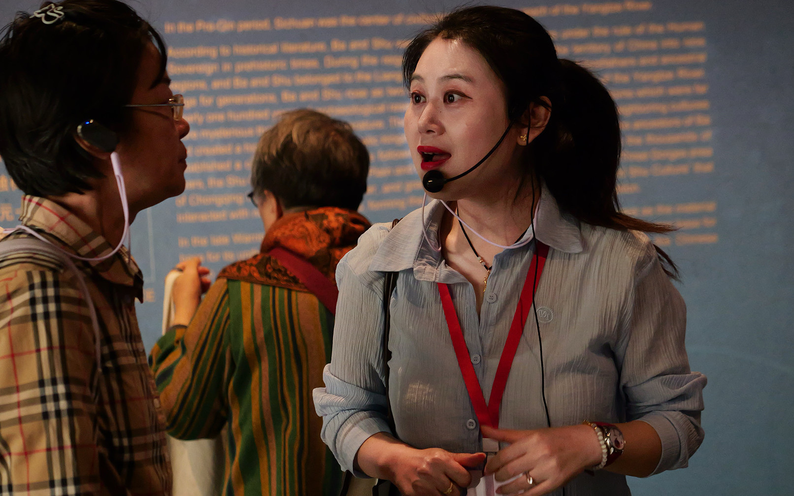 Private guided tour service at the Sichuan Museum