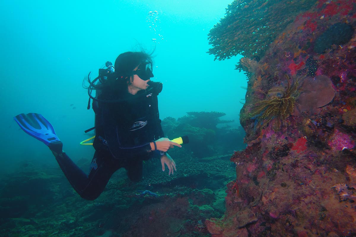 亞庇開放水域潛水體驗（PADI潛水中心）