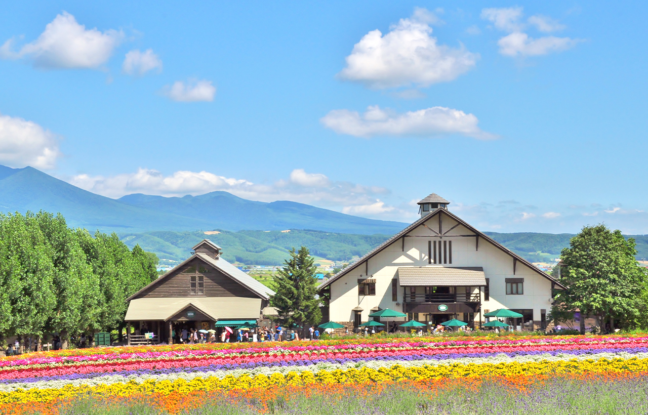 雲霄飛車之路&青池&四季彩之丘/富田農場&精靈露臺一日遊｜札幌出發｜含自助午餐+哈密瓜吃到飽