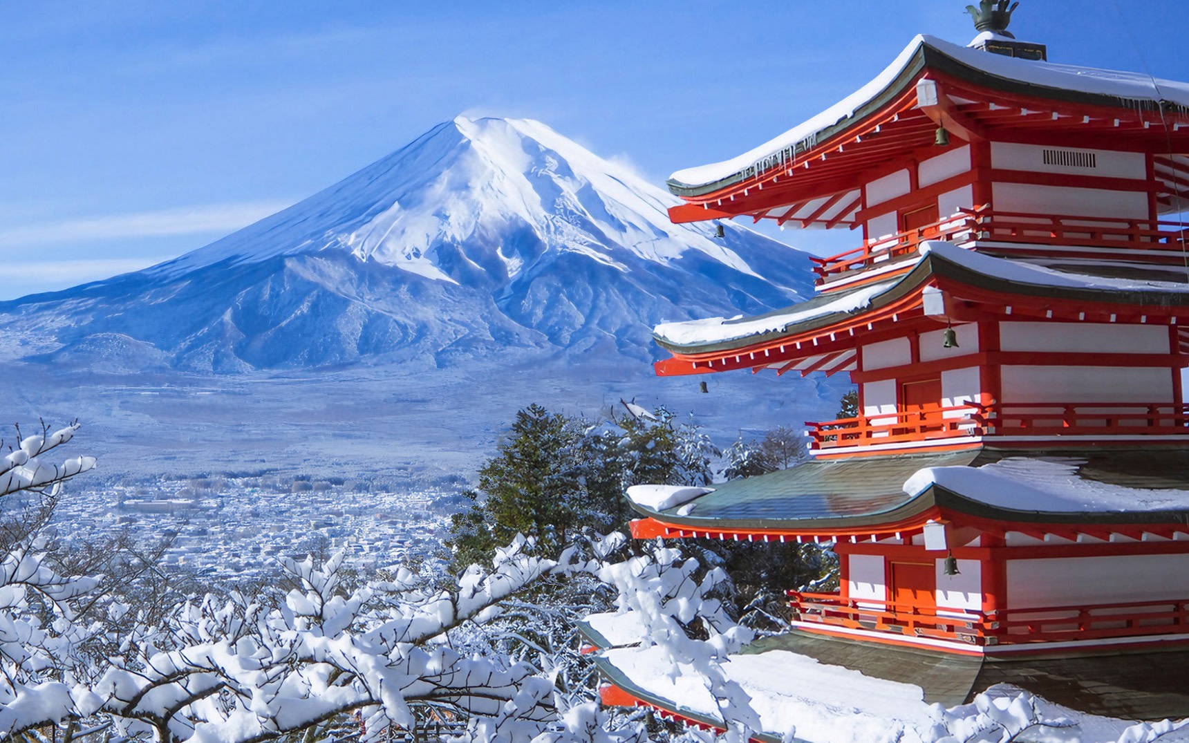 [One-Day Tour Exploring the Magnificent Views of Mount Fuji] Arakurayama Sengen Park & Lake Kawaguchi Oishi Park & Oshino Hakkai & Instagram-Famous Lawson & Nikawa Tokeiten (Departure from Tokyo)