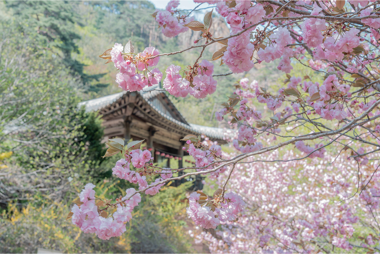 ❤️ 在壯麗的自然風光中,盡享東方美學之韻。 ❤️ 在壯麗的自然風光中,盡享東方美學之韻。
