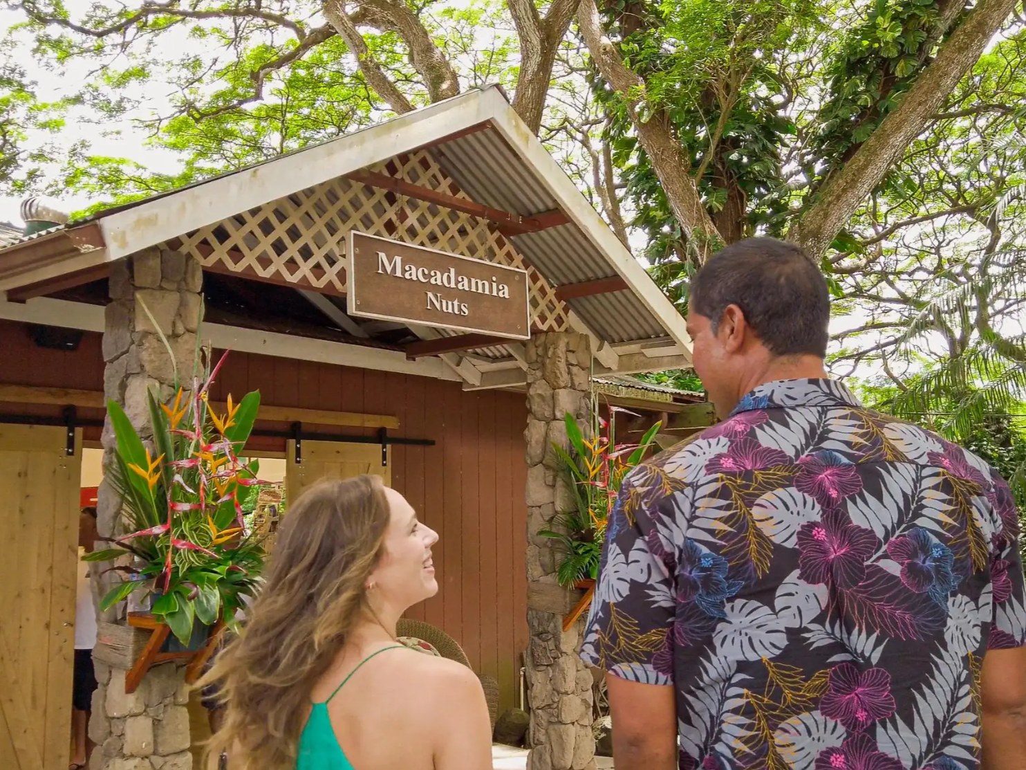 遊客們漫步在都樂種植園(Dole Plantation)的花園中,欣賞菠蘿田和寧靜的錦鯉池塘 遊客們漫步在都樂種植園(Dole Plantation)的花園中,欣賞菠蘿田和寧靜的錦鯉池塘