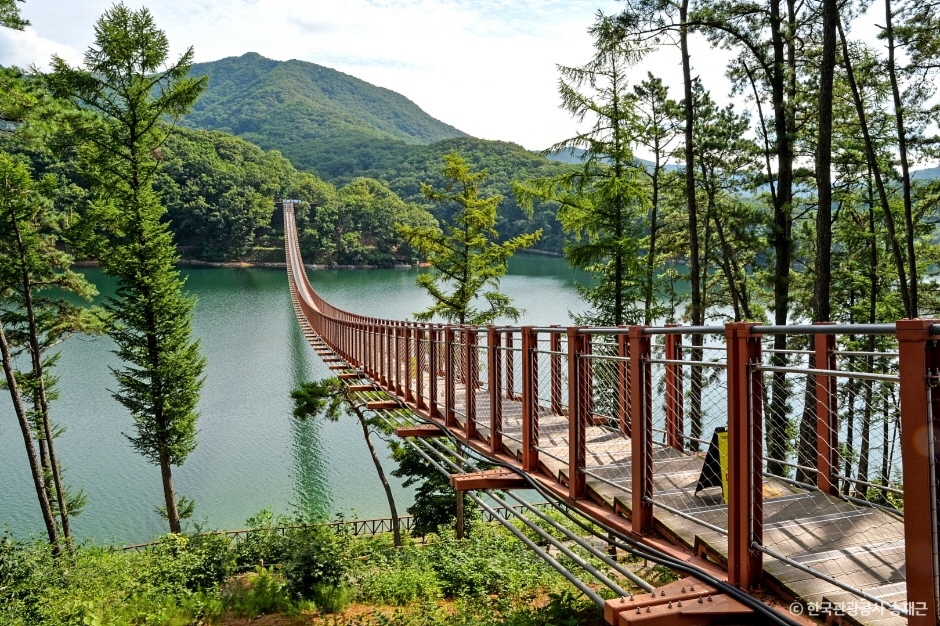 Nanta Show & Aqua Field & Suspension Bridge Paju Day Tour