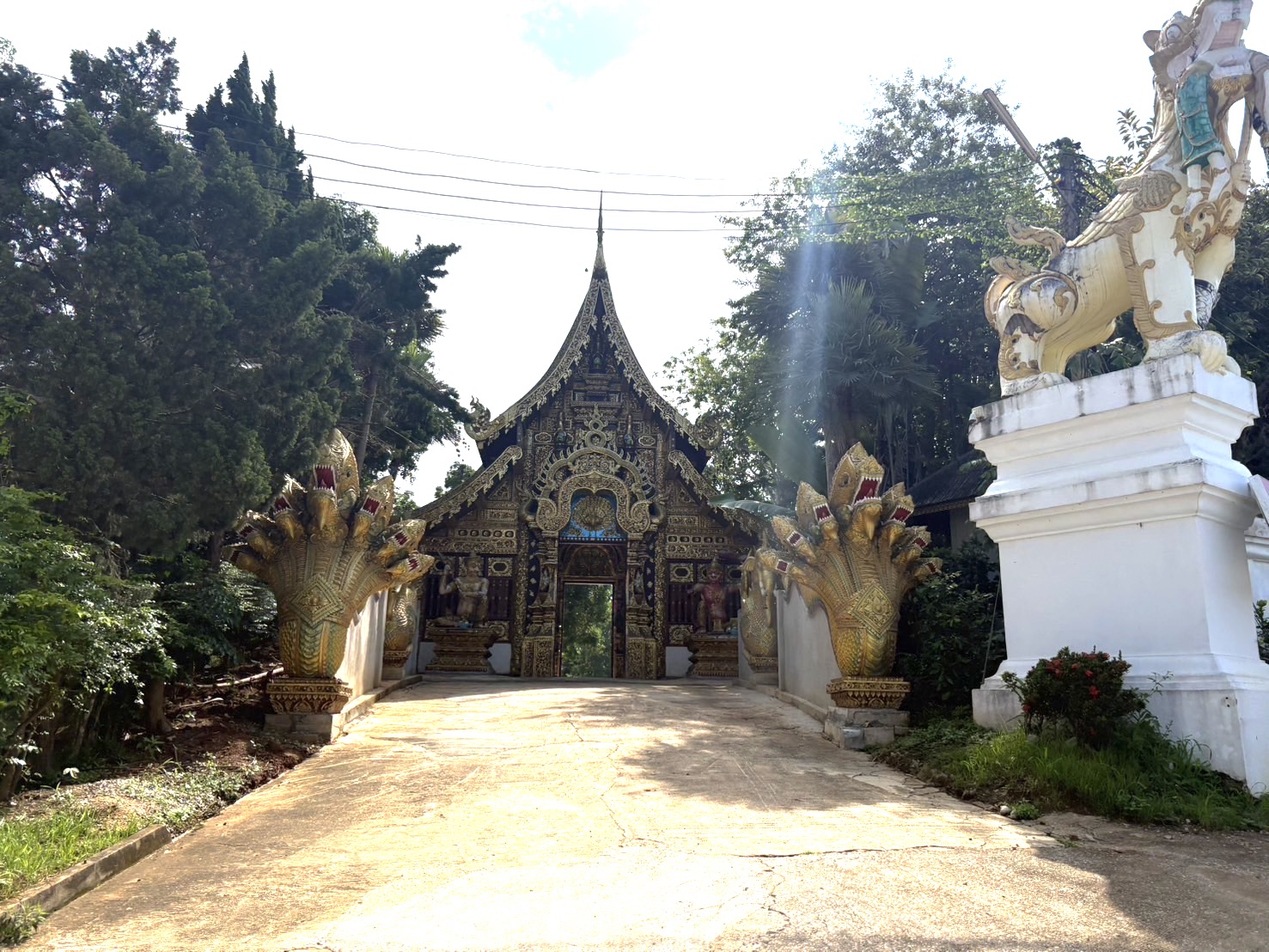 Чанг Рай: частный однодневный тур по храмам с посещением горячих источников