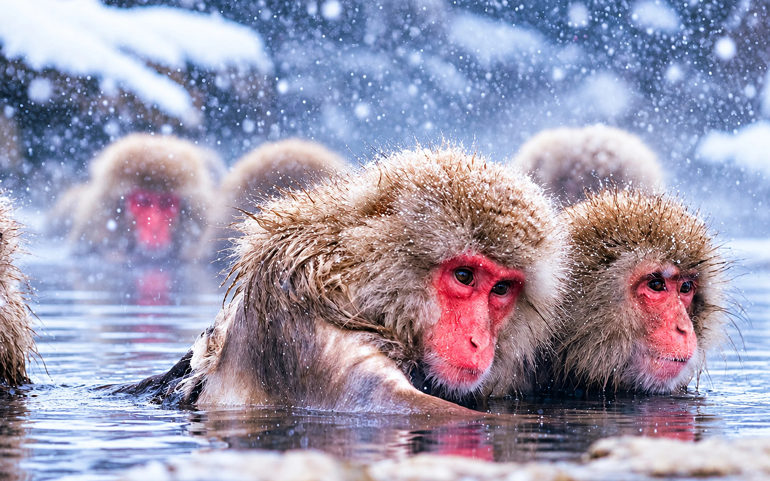 Matsumoto, Togakushi Shrine, and Jigokudani Snow Monkey Park Day Trip
