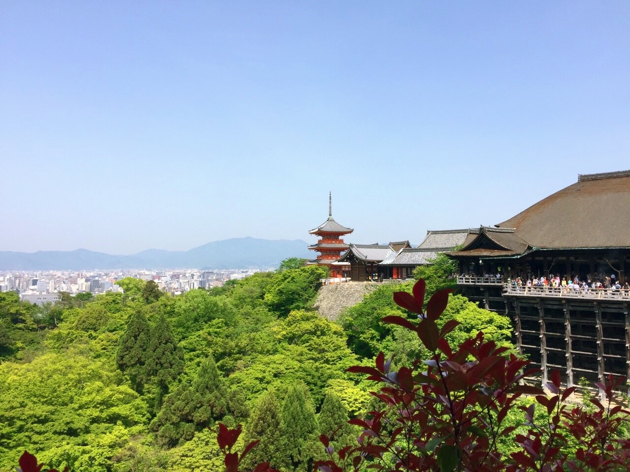 Kyoto Cultural Heritage Day Tour｜Kinkaku-ji Temple, Arashiyama, Sanjusangendo Temple, and Kiyomizu-dera Temple｜Optional Kobe Beef Shabu-shabu Lunch (Departing from Osaka and Kyoto)