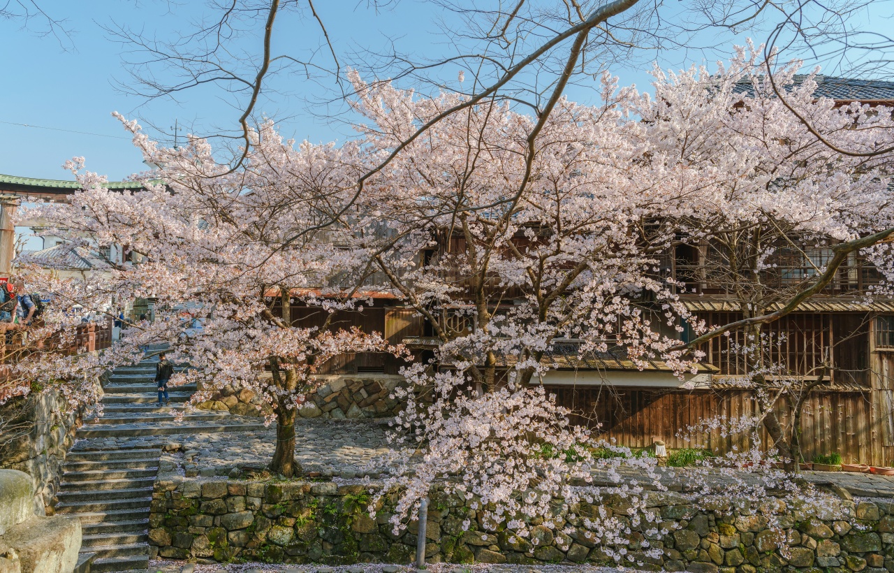 Lake Biwa Observatory, Shirahige Shrine, and Mangetsu-ji Temple Floating Temple Hall Day Trip