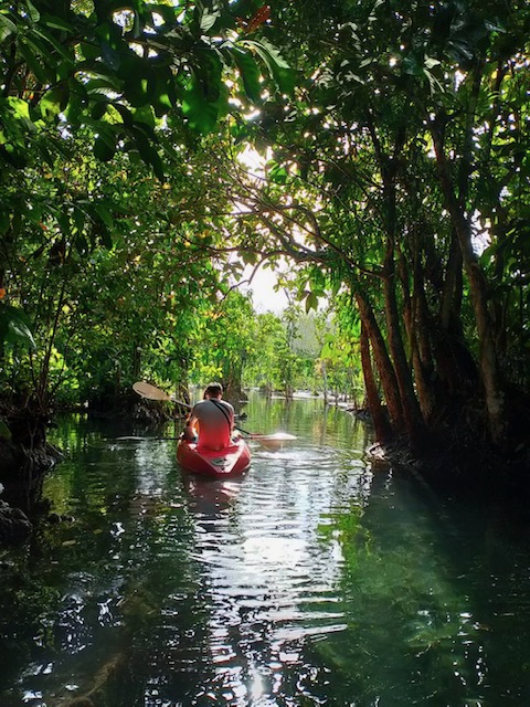 Klong Nam Sai 皮划艇 + 餵魚 + 觀賞大象 + 全地形車