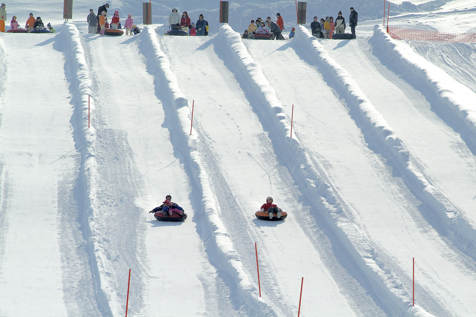 北海道初心者向けスキーと雪遊びプライベートツアー（札幌）