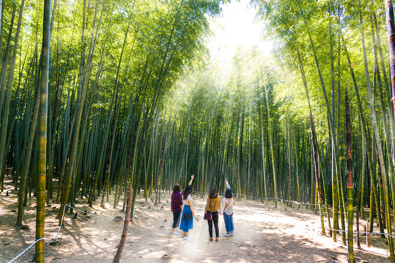 東釜山小團攝影之旅（最多7人）