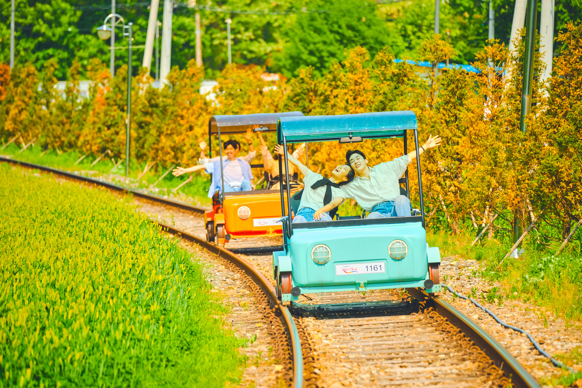 南怡島 (Nami Island)（快艇）/羊駝/鐵路自行車/晨靜樹木園 (Morning Calm) 私人旅遊