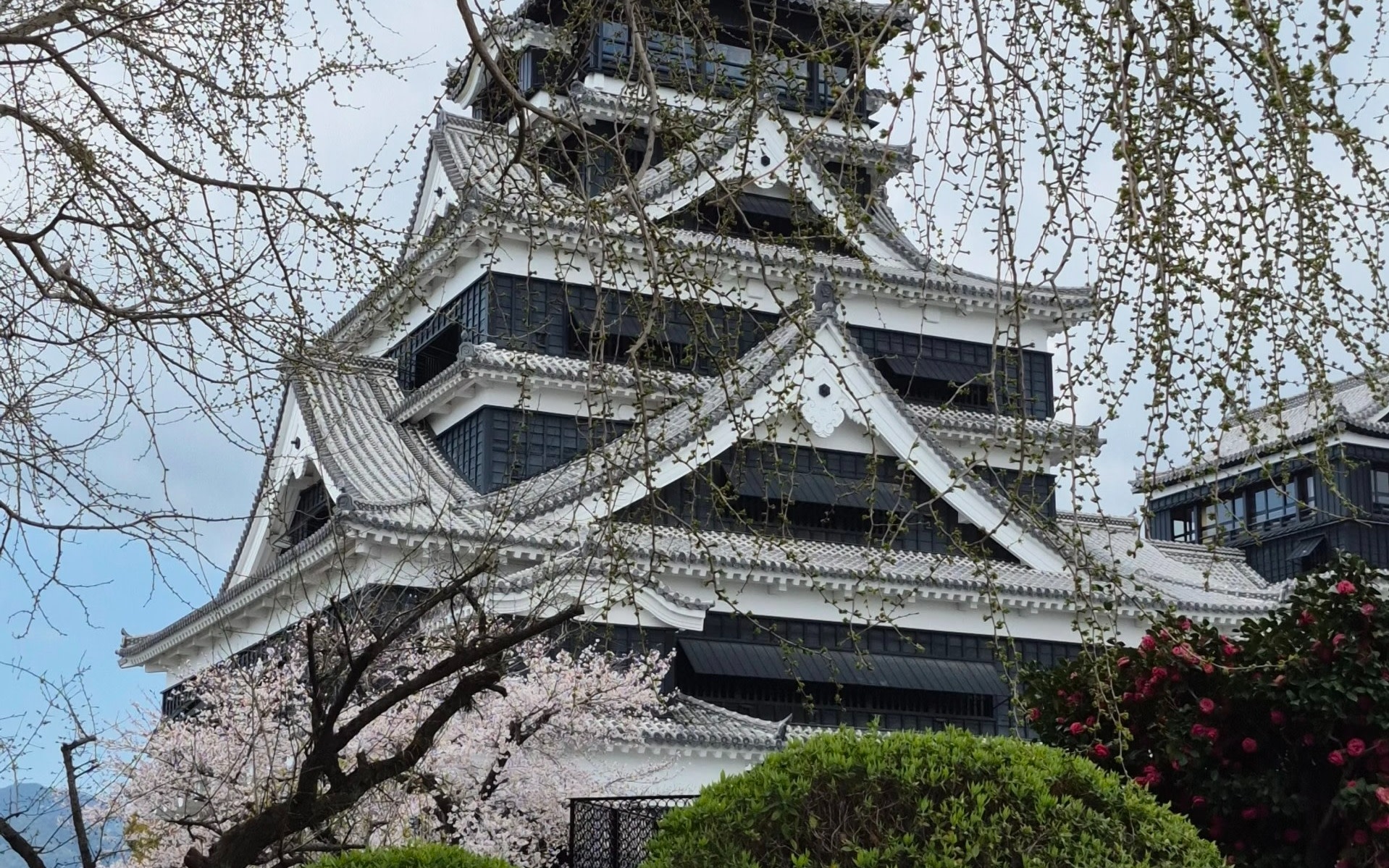 Kyushu [Kumamoto Chartered Car Day Trip] (Green Plate 5-seater/10-seater optional, port/airport/hotel transfer, Japanese-speaking driver customization)