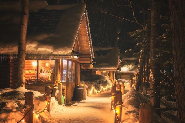 点灯之旅 富良野精灵台＆美瑛青池＆白须瀑布一日游｜札幌出发