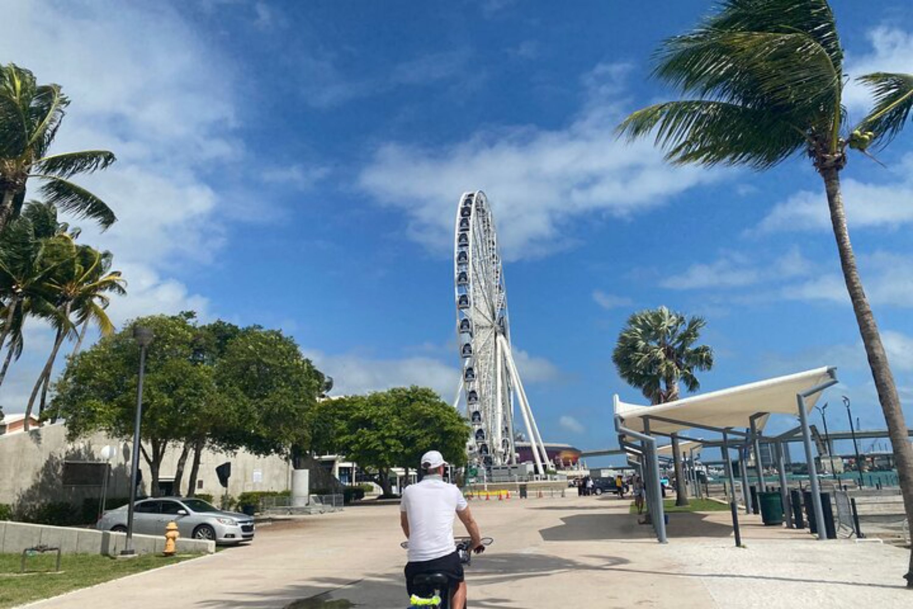 Biscayne Bay Cruise in Miami with Optional Hop-On Hop-Off Bus