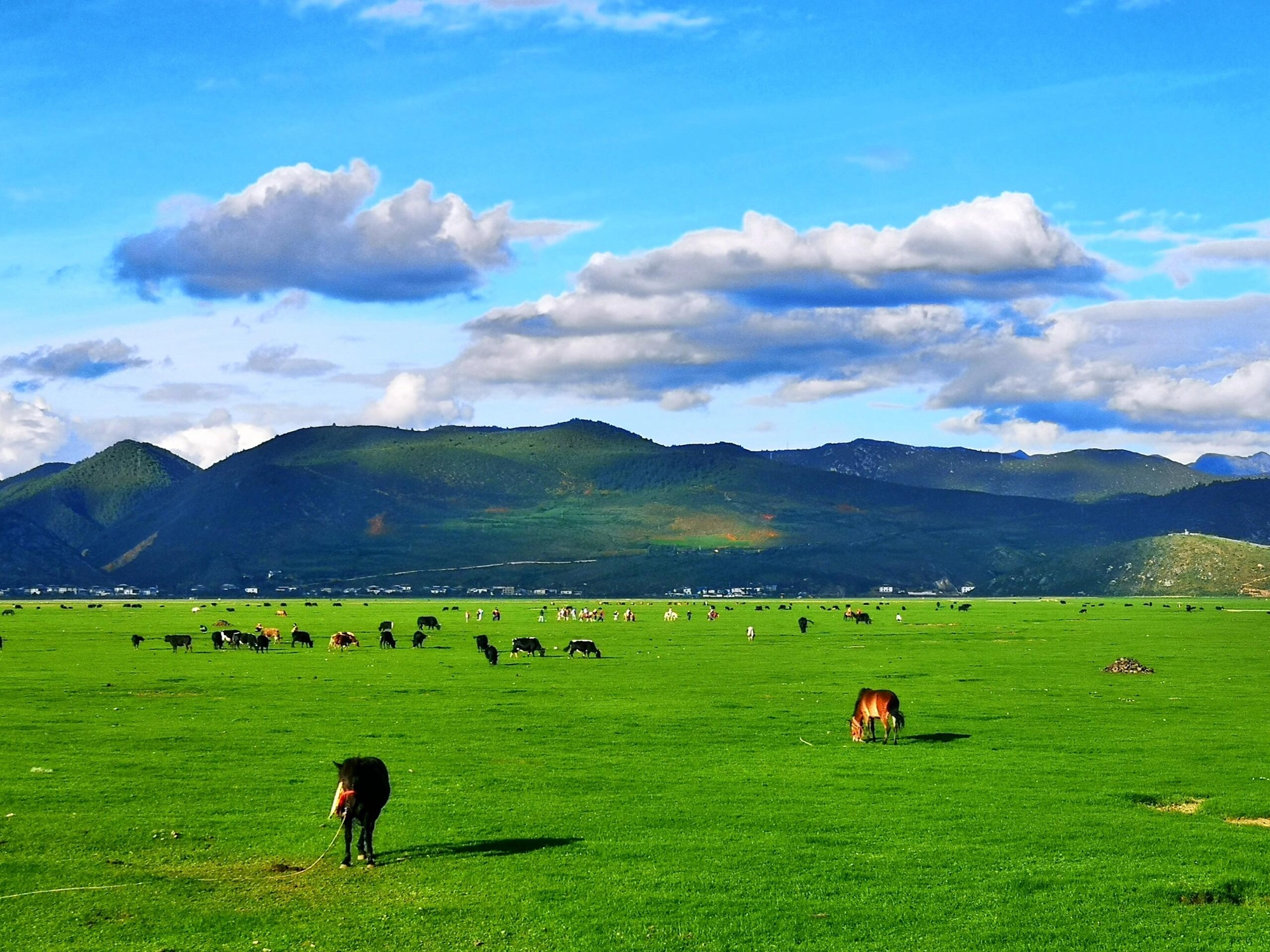 One-day tour of Tiger Leaping Gorge and Haba Snow Mountain in Lijiang