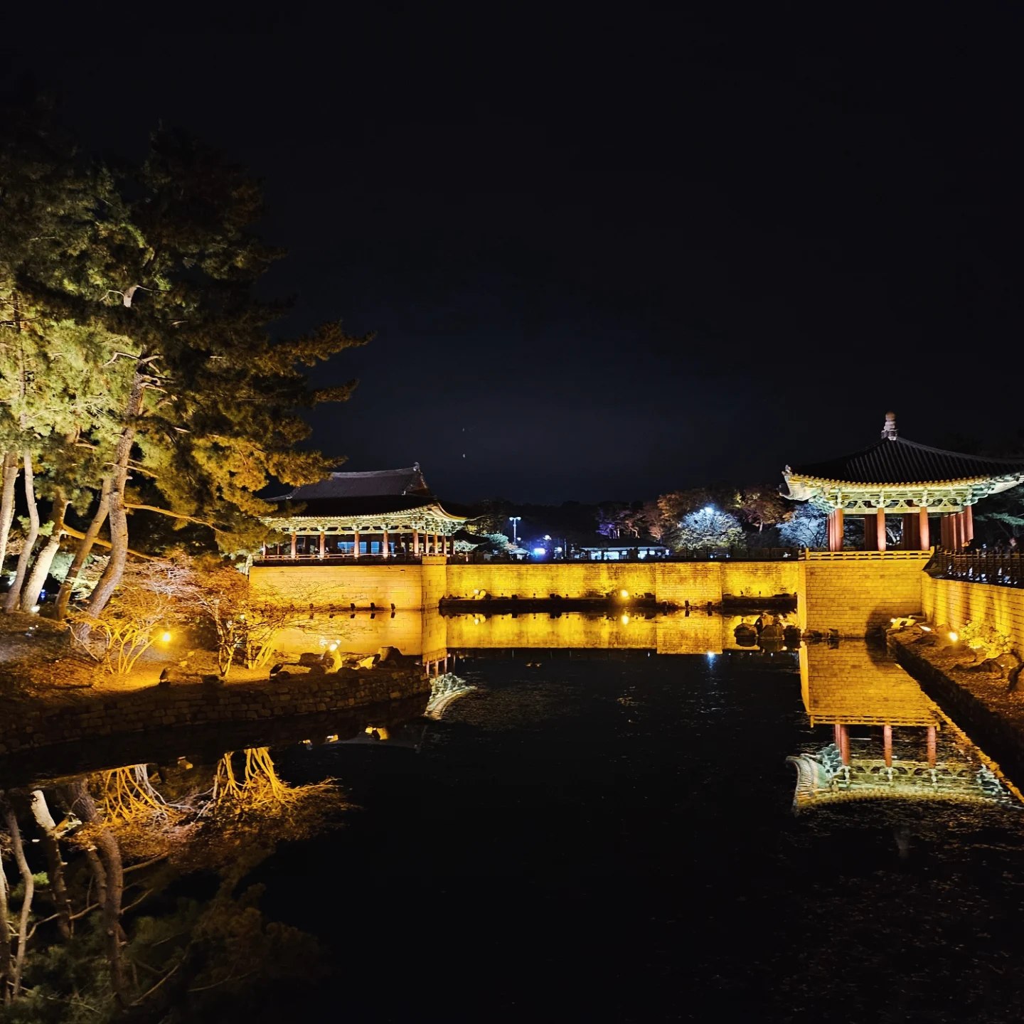 慶州私人導覽與釜山夜景遊覽行程（含午餐）