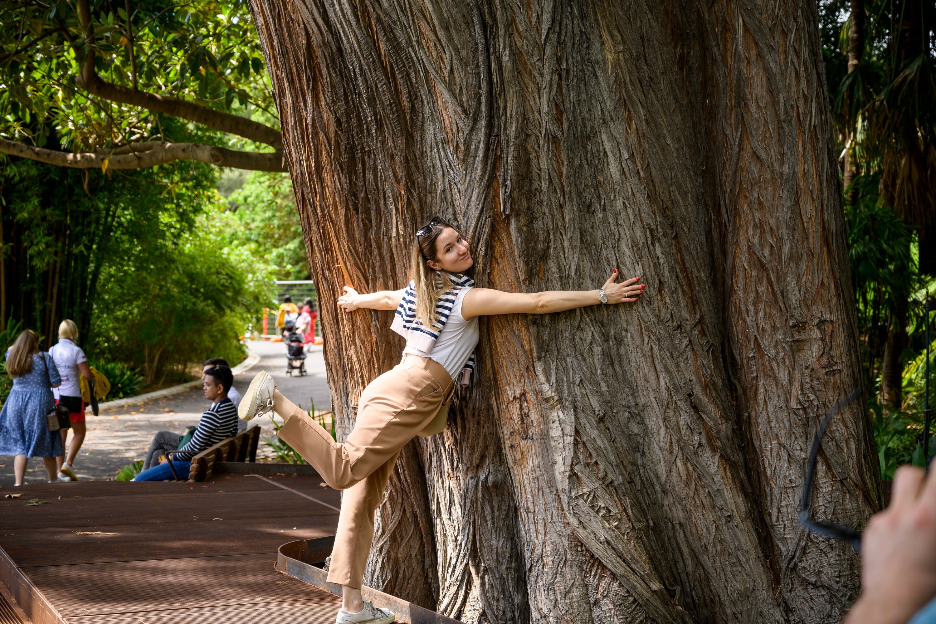 Melbourne Magic City Discovery & Penguin Parade Day Tour 