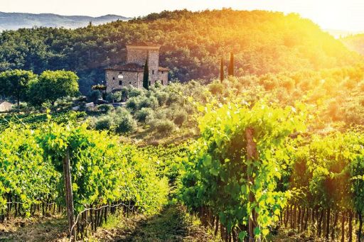 Chianti Half Day Wine tour from Florence