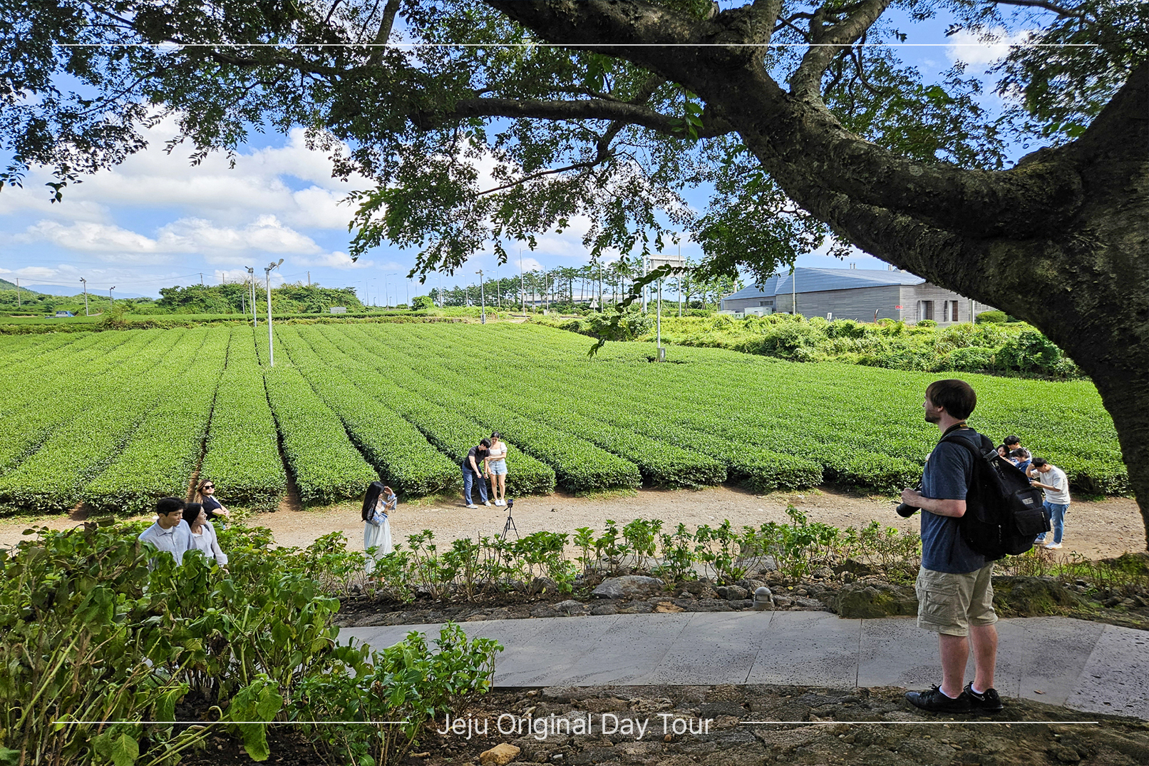 Jeju UNESCO Original Day Tour with local lunch included