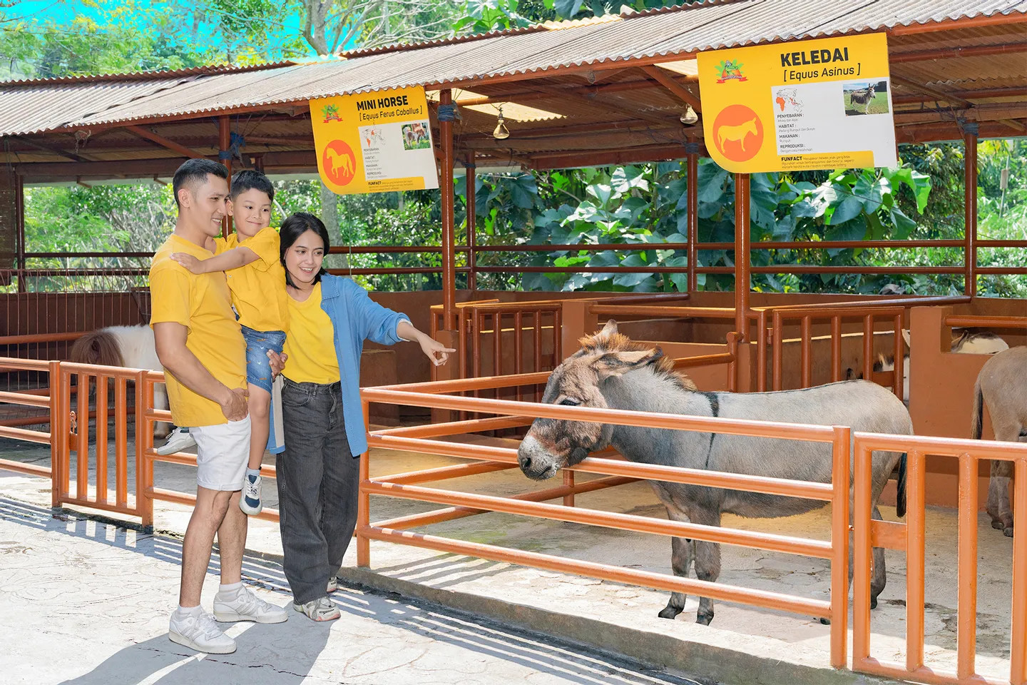 在我們的互動式動物園裡，近距離接觸友善的迷你馬和驢子！這是一個讓孩子和家長都會喜歡的動手實作教育體驗。
