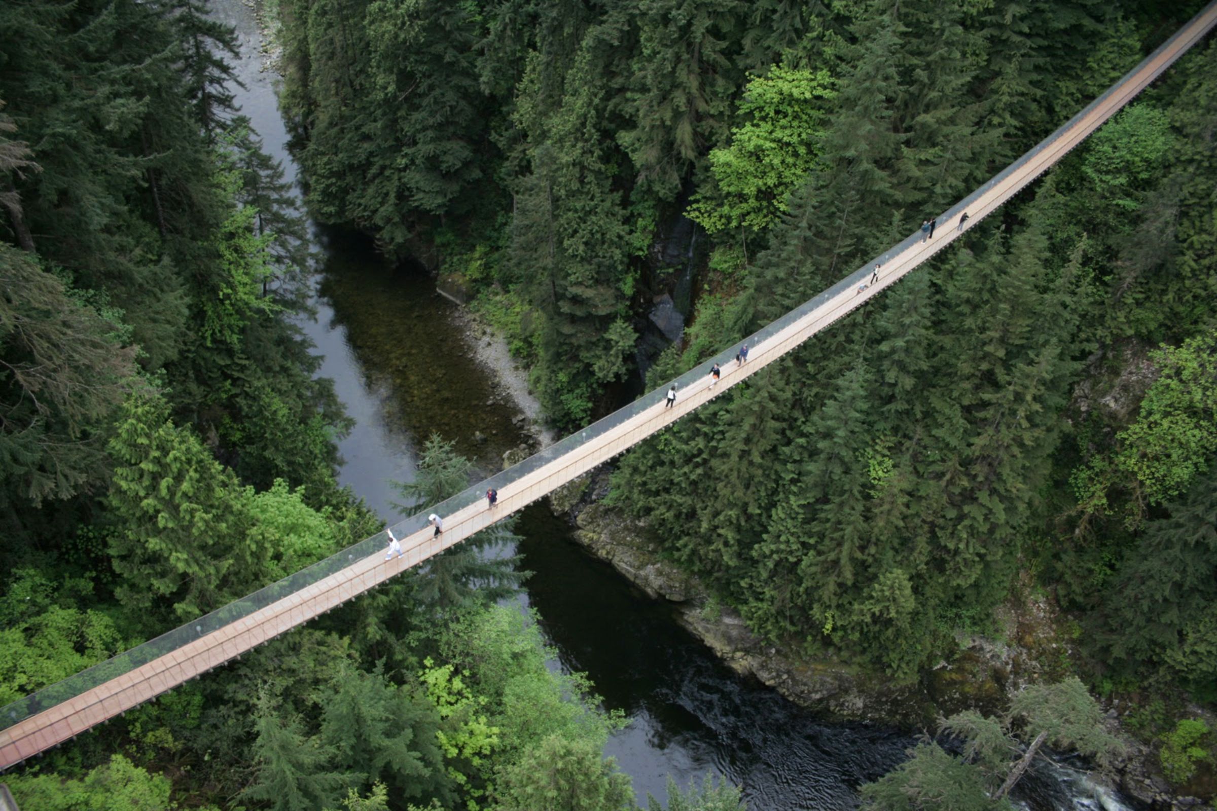 Grouse Mountain and Capilano Suspension Bridge Park Tour