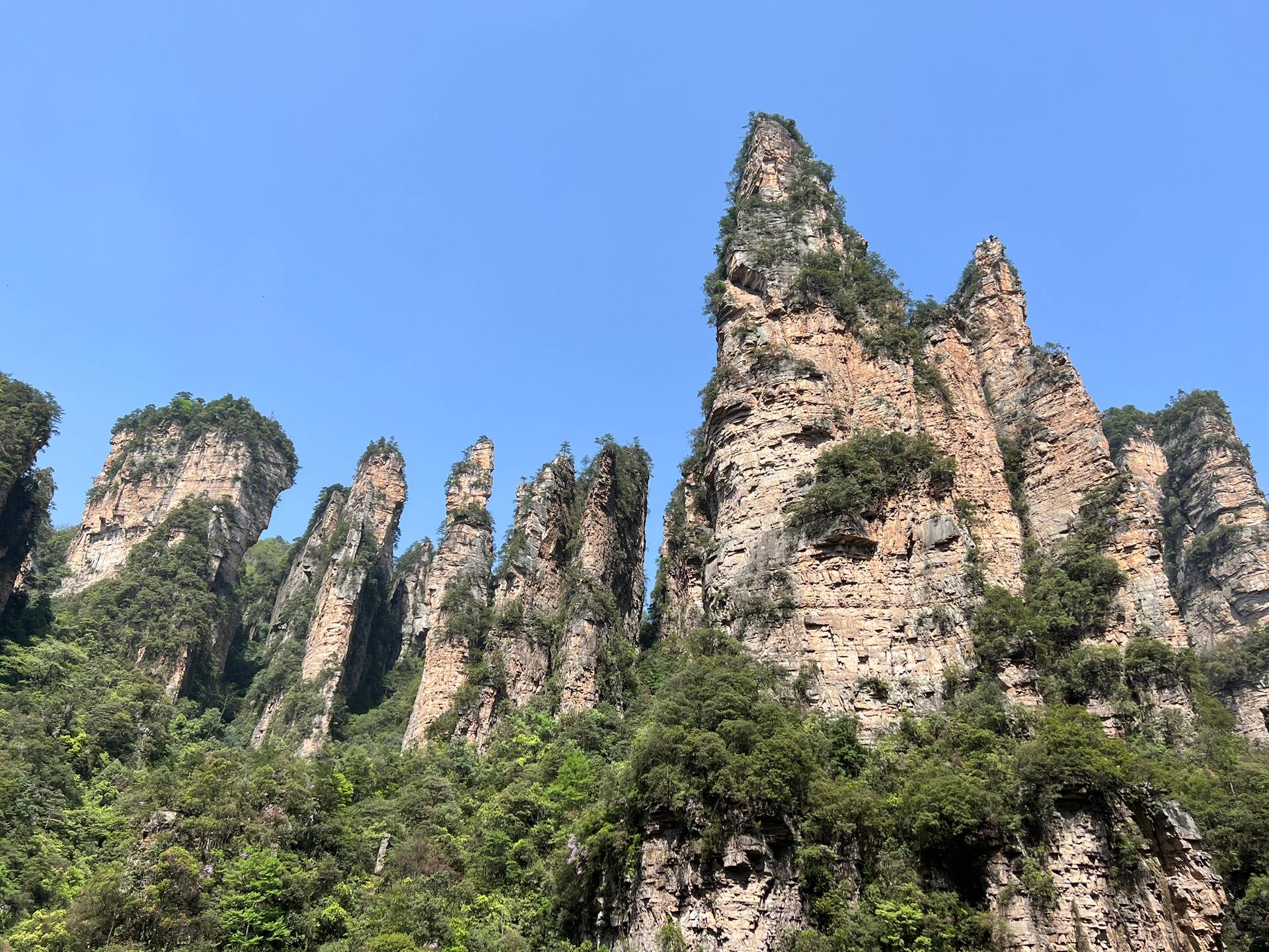 張家界森林公園是中國第一個國家森林公園，也是國家 5A 級旅遊景區，空氣負氧離子含量豐富，還擁有銀杏、白冠長尾雉等眾多珍稀動植物。