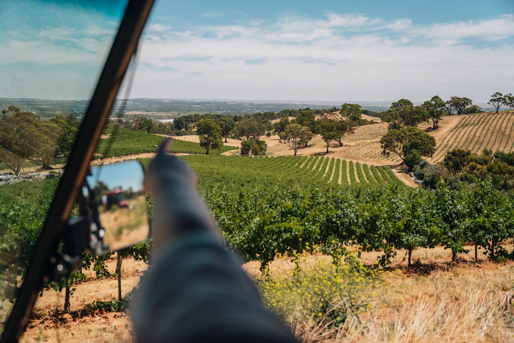 EcoVine Wineyard Explorer Guided Tour