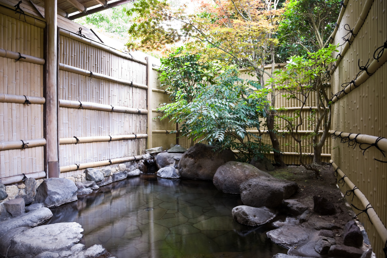 Tokyo: Japanese Spa & Sento Experience with Local