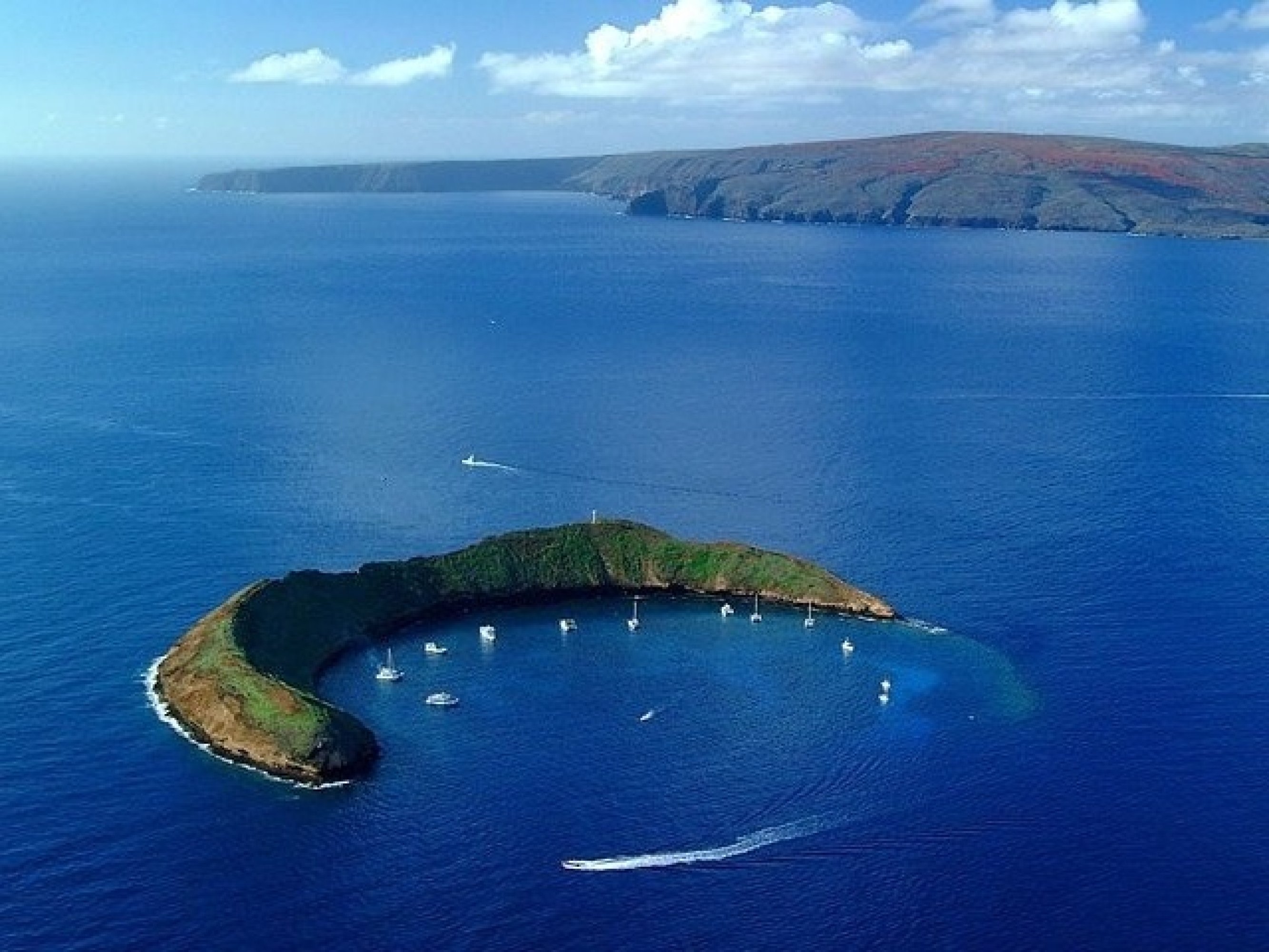 Maui: Afternoon Molokini or Coral Gardens Snorkel Tour