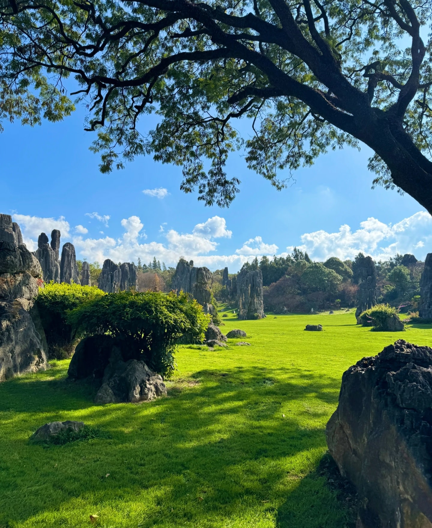 天下第一奇觀‌：這裡不僅是地質學的活教材，更是感受"山石冠天下，風情醉國人"的絕佳勝地。