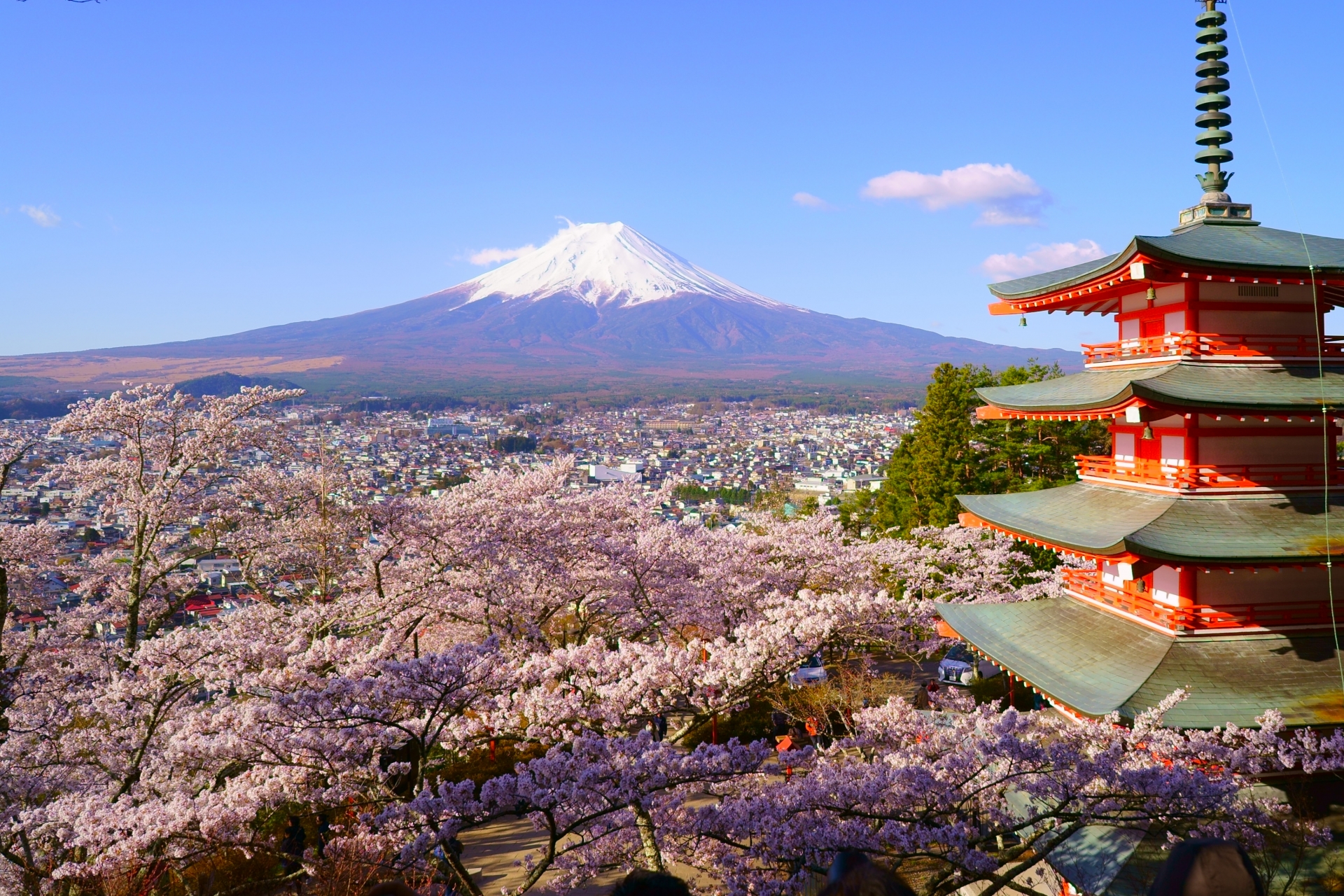 高級版富士山河口湖絕景一日遊！坐豪華巴士巡遊多個拍攝點，從不同角度欣賞令人震撼的富士山美景！包含神戶牛涮涮鍋（品川/新宿出發）