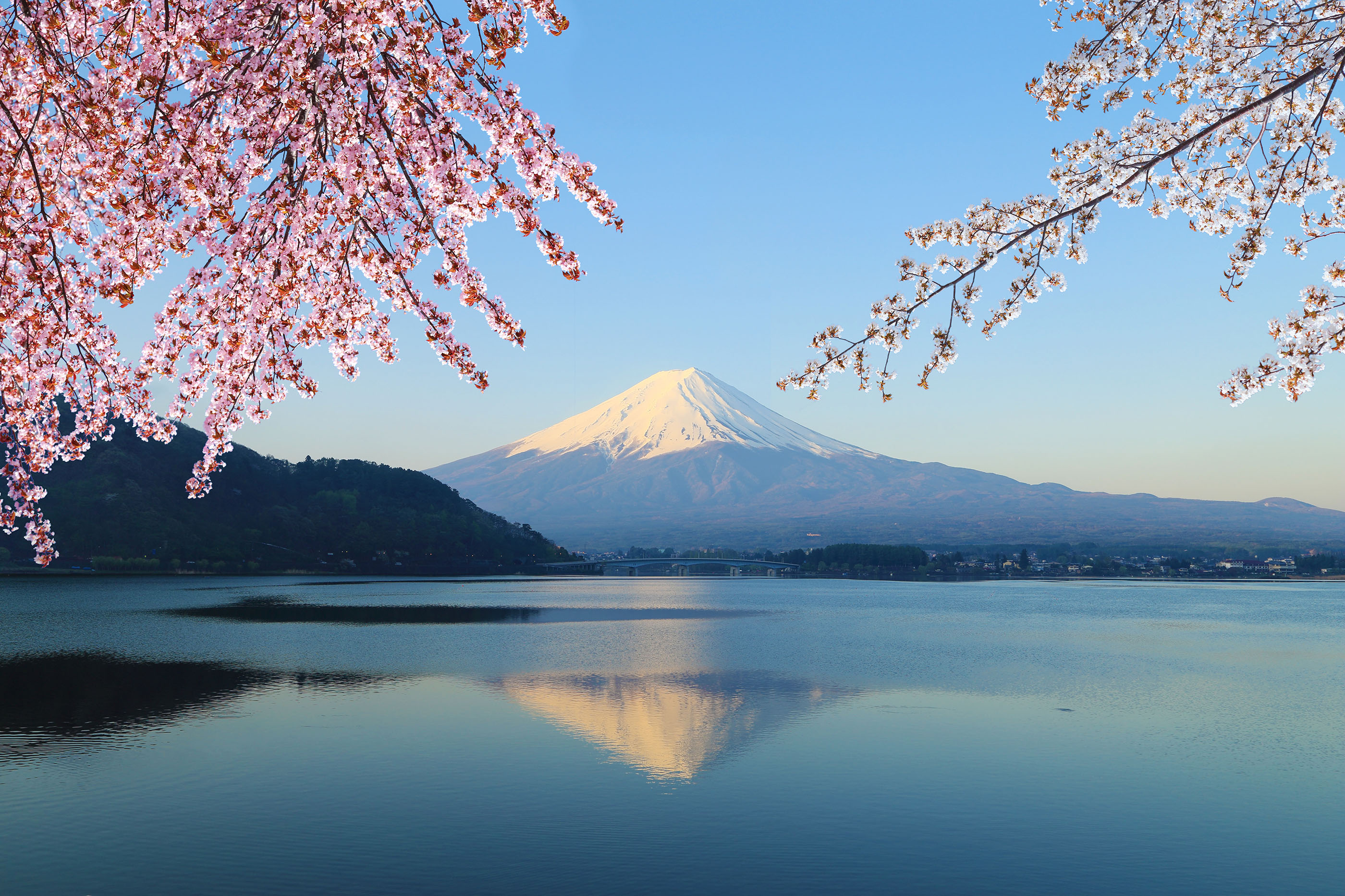 新倉山公園 & 富士山五合目 & 河口湖抹茶體驗 & 忍野八海一日遊