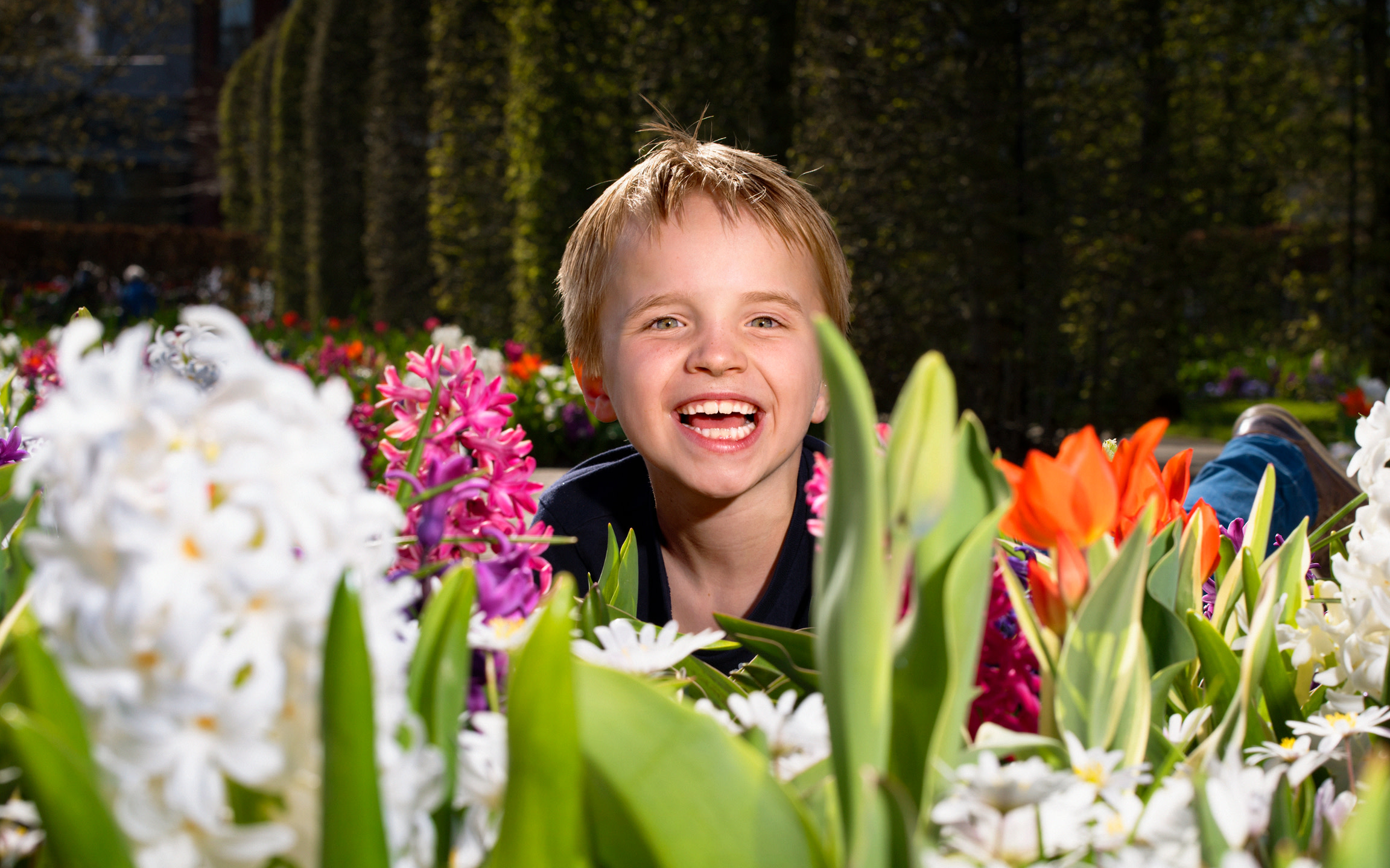 Keukenhof, Tulip Farm & Windmill Cruise Full-Day Tour from Amsterdam