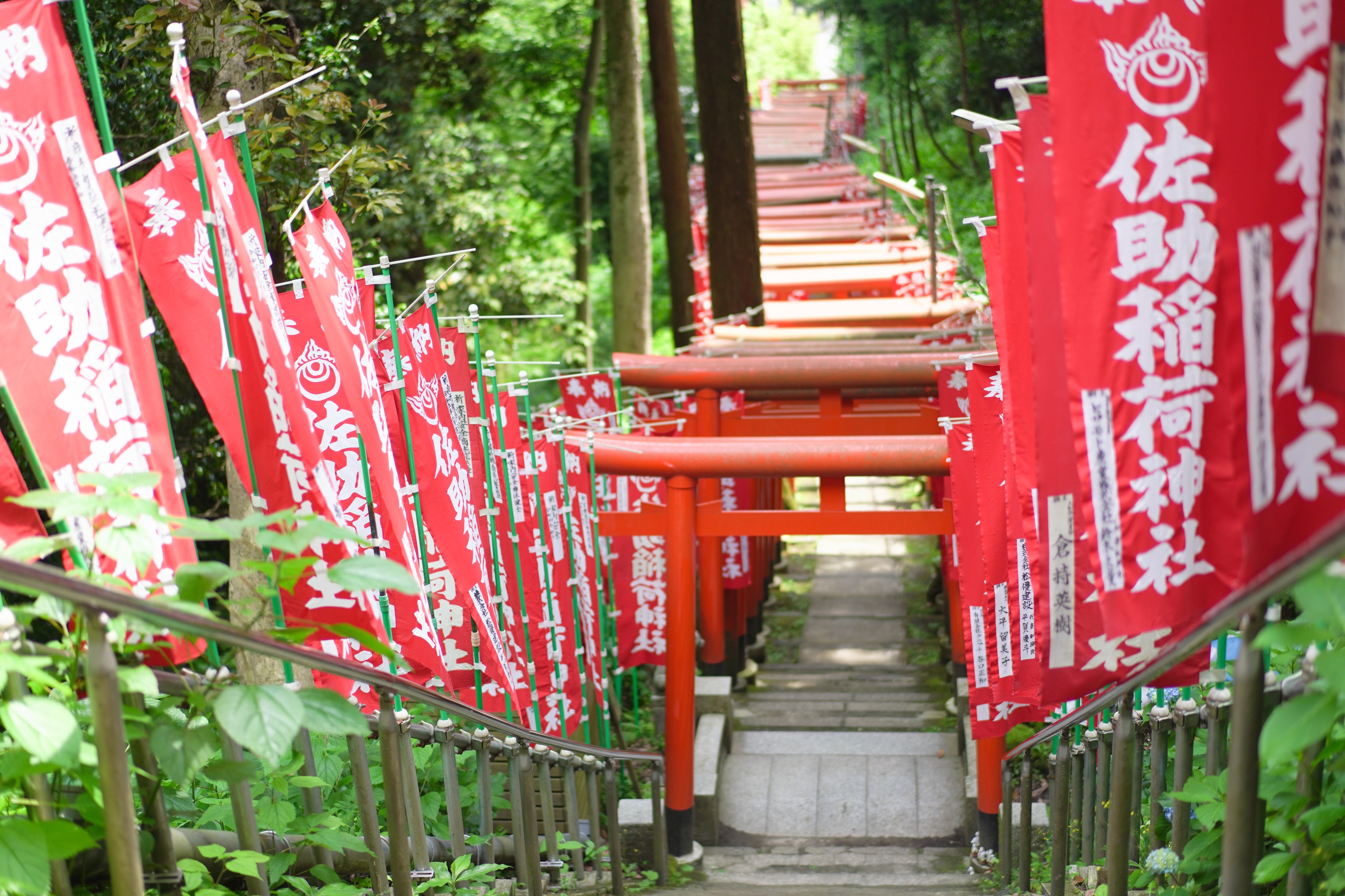 鎌倉歷史徒步之旅（含鎌倉大佛）