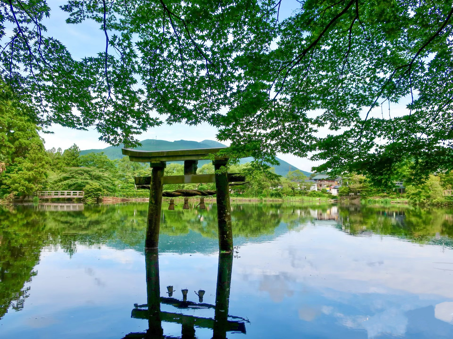 九州｜南藏院&太宰府&湯布院&海地獄一日遊（福岡出發）