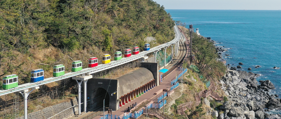 太宗臺繡球花 / 松島海上纜車 / 甘川洞 / 廣安裡之旅