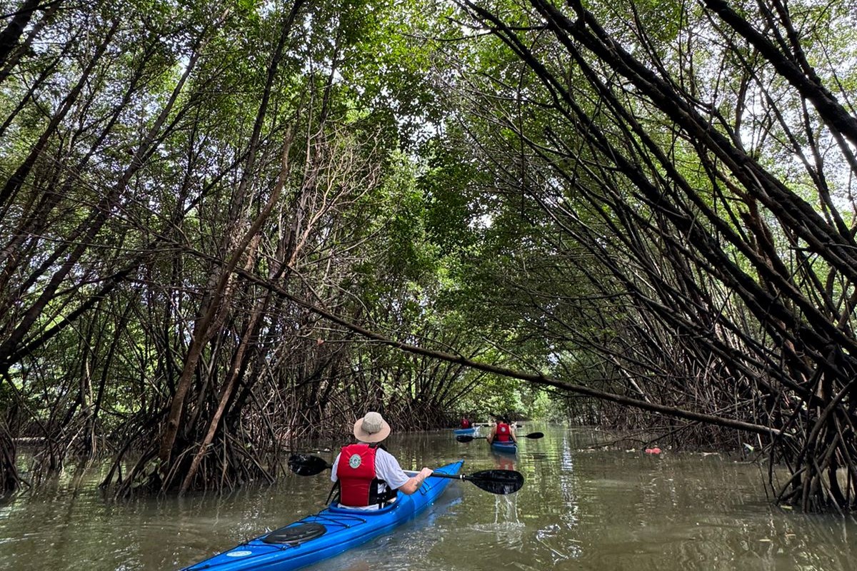 Canoeing Mangrove Experience and Pantai Indah Kapuk Tour in Jakarta 