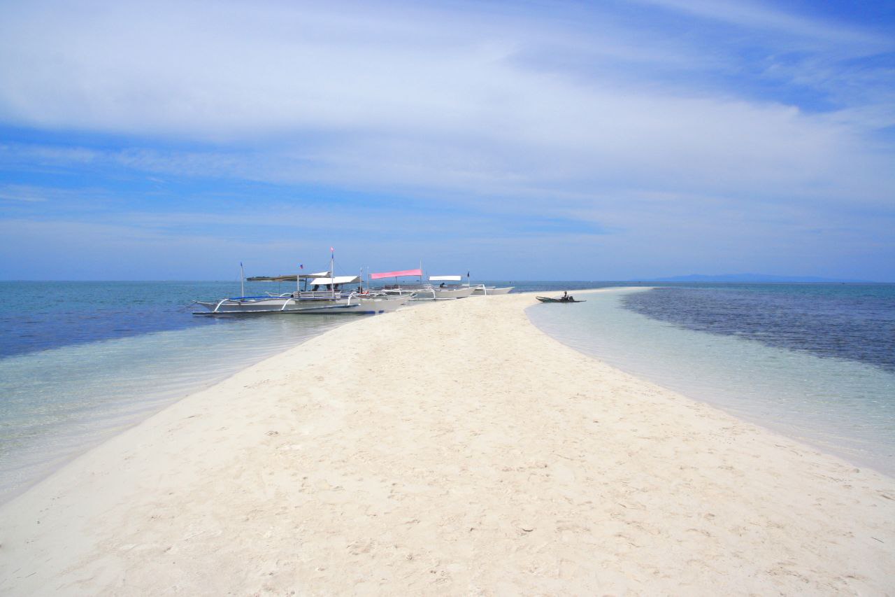 Dolphin Watching, Island Hopping, Snorkel with Fish and Turtle