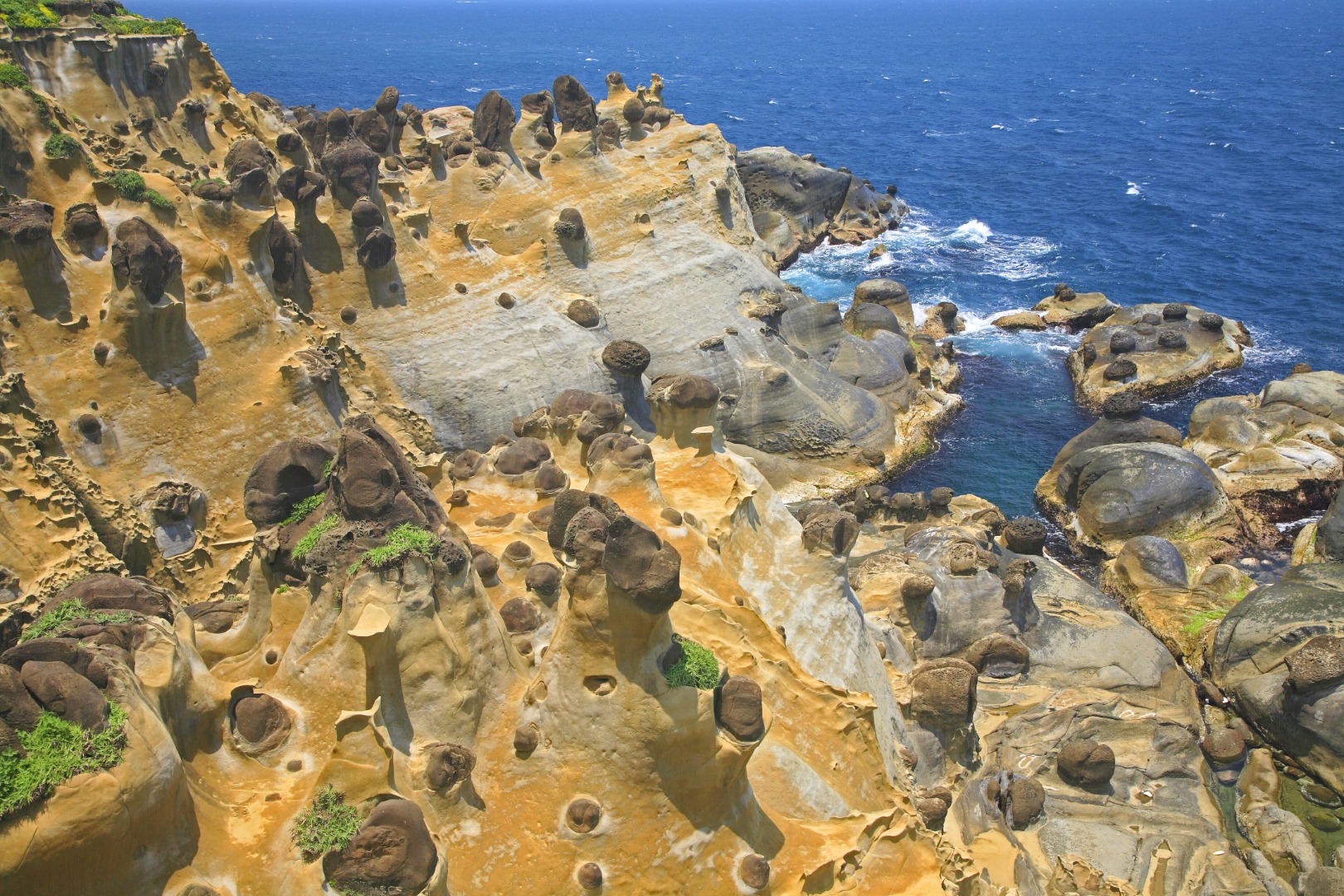 台北: 寵物旅遊 - 和平島、金山老街、老梅石槽一日遊