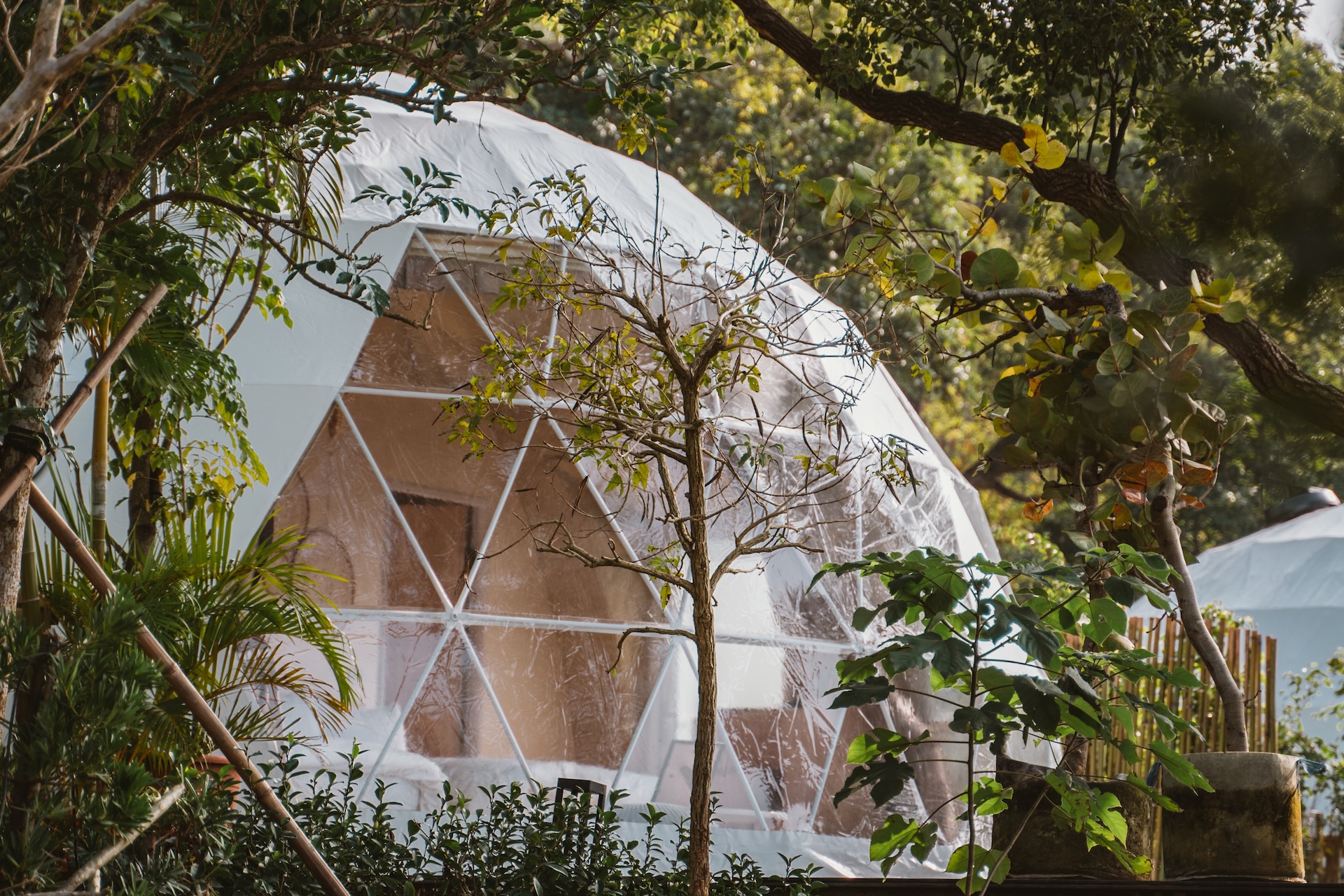 苗栗露營｜山CHILL｜一泊四食豪華露營體驗