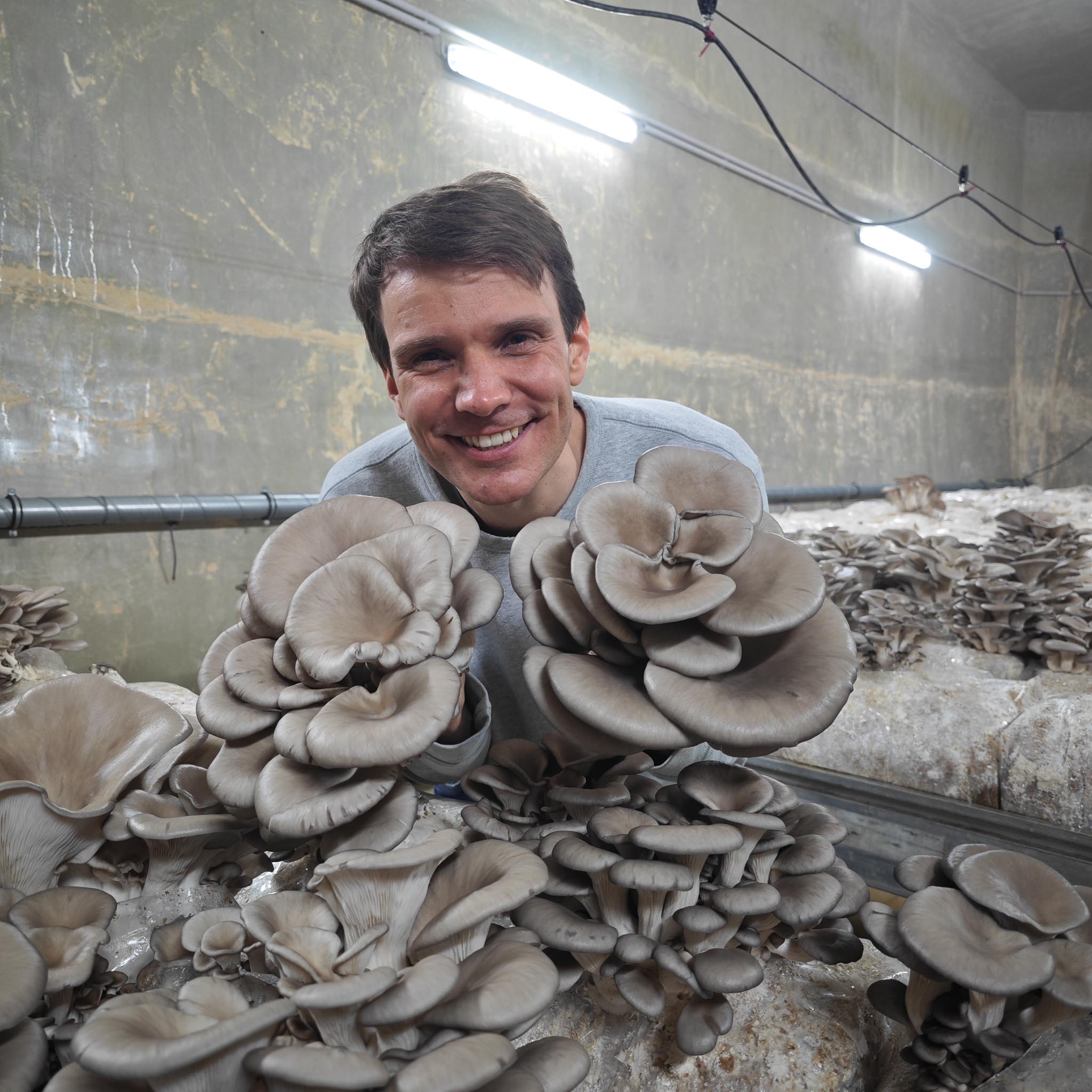 Zurich's best-kept secret: The hidden world of mushrooms!