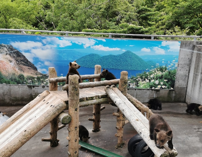 北海道包車一日遊（英語司機）