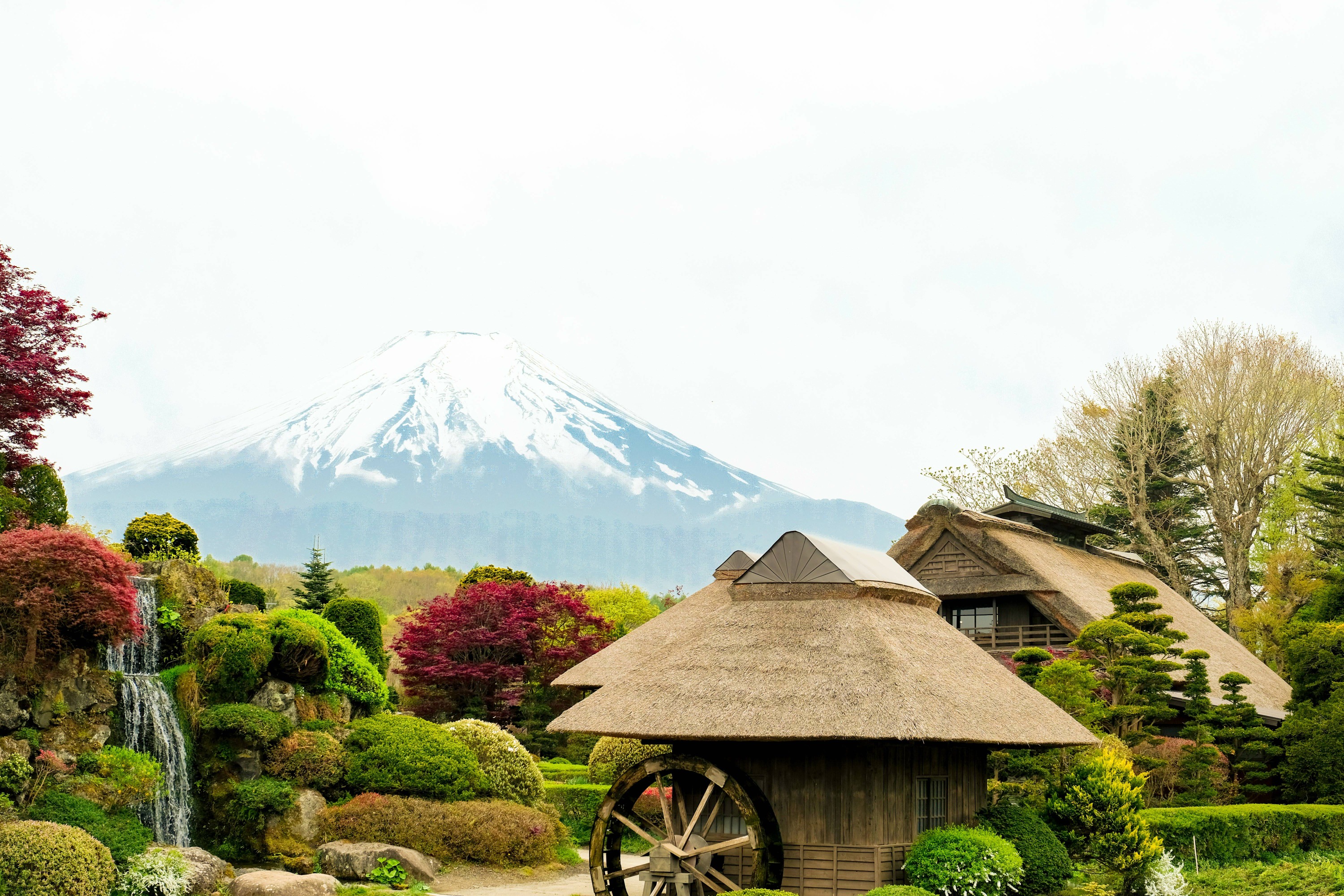 富士山四大名勝景點一日遊（東京出發)