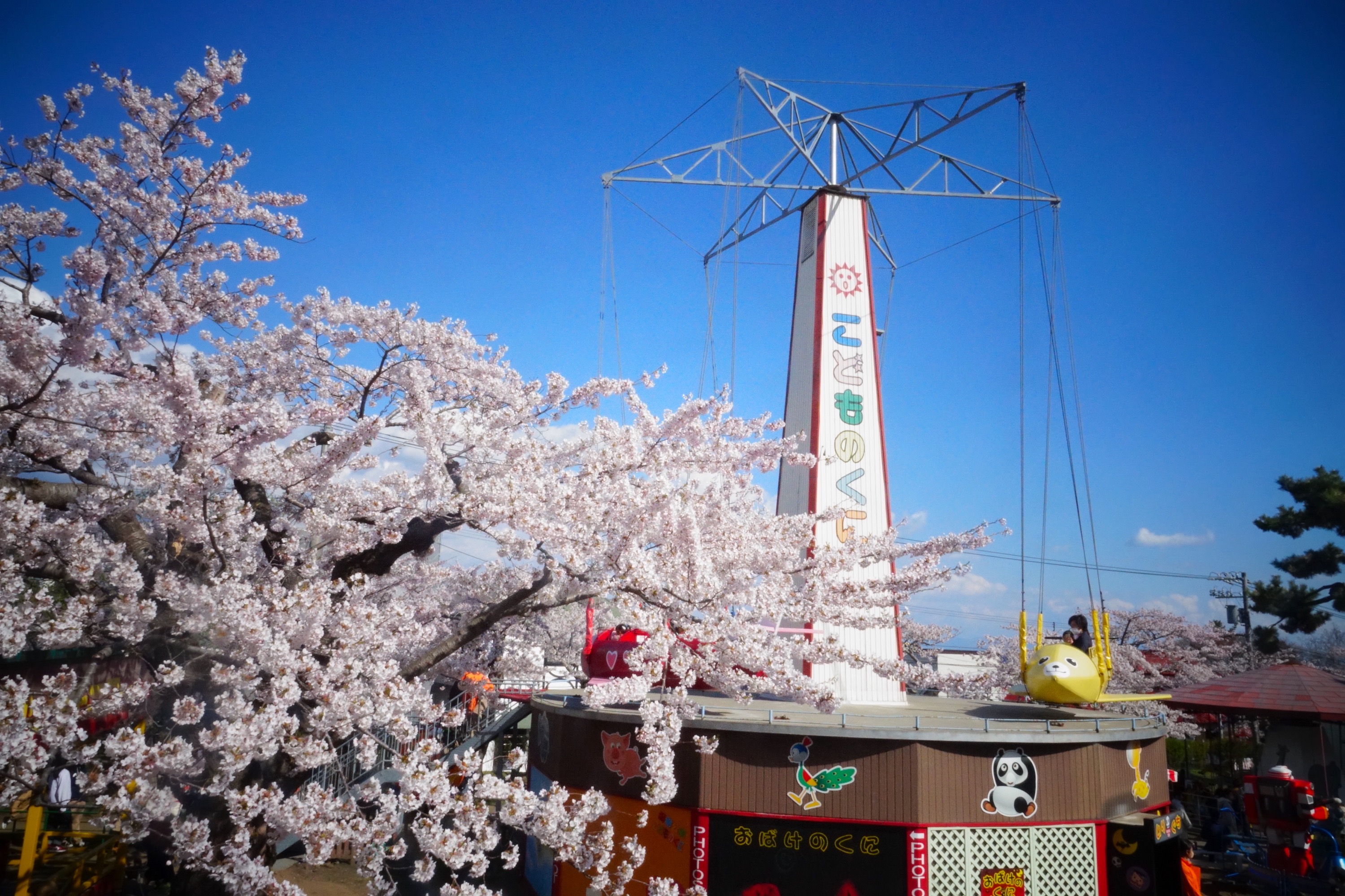 北海道函館松前/大沼公園絕景兩日遊 [4月下旬將會前往五大賞櫻熱點]