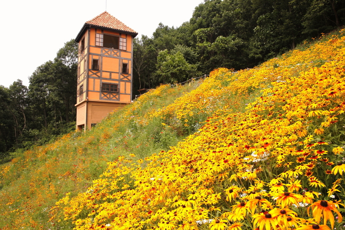 小法國村與義大利村 小法國村與義大利村
